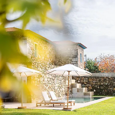 Capim Limao פונטה דה לימה