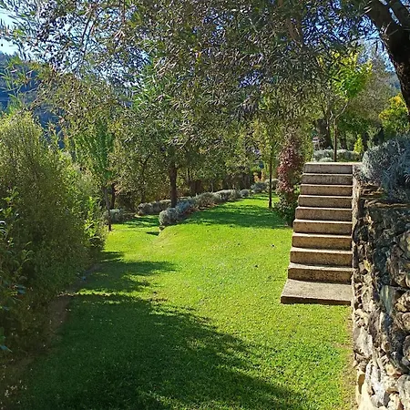 Capim Limao Kır Evi *