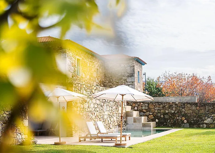 Capim Limao 蓬德利马