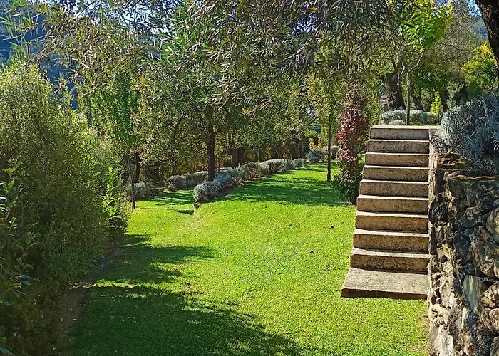 Capim Limao Gospodarstwo wiejskie *